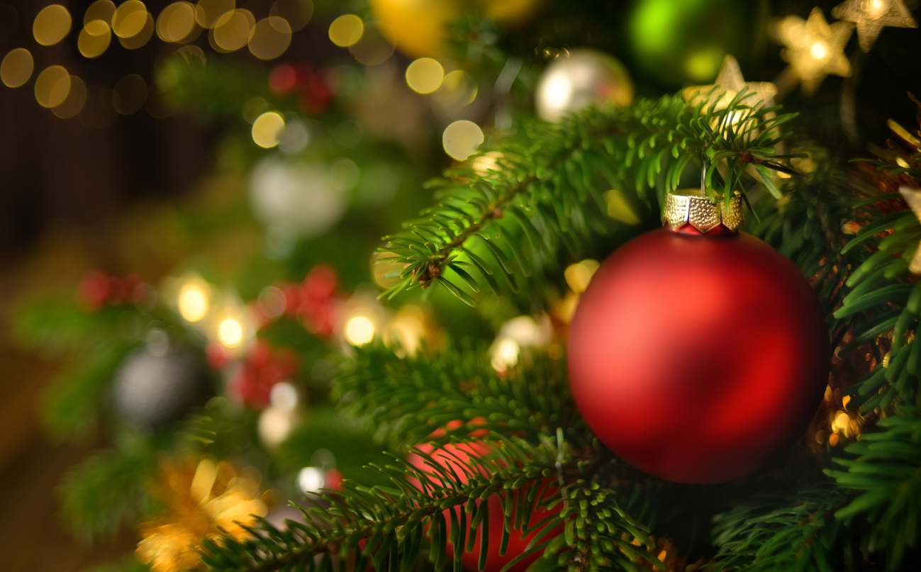 Closeup of a red Christmas bauble hanging on a decorated fir tree, with lots of shiny ornaments and lights creating the bokeh